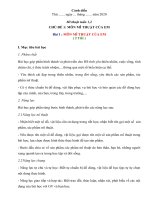 Mỹ thuật lớp 1 cánh diều