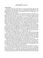 Nghiên cứu kích thước gân cơ thon và gân cơ bán gân dựa trên chẩn đoán hình ảnh và kết quả tái tạo dây chằng chéo trước khớp gối bằng kỹ thuật hai bó tt 