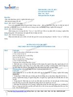 Ngữ văn lớp 9: Đề thi con cò đề 1 