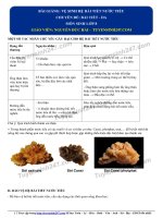 Sinh học lớp 8: 5  lí thuyết   vệ sinh hệ bài tiết nước tiểu 