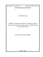 Nghiên cứu động thái tích lũy carbon của rừng luồng (dendrocalamus barbatus hsueh et d  z li) trồng thuần loài tại thanh hóa 