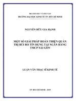Một số giải pháp hoàn thiện quản trị rủi ro tín dụng tại ngân hàng TMCP sài gòn 