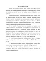 Nghiên cứu đặc điểm dịch tễ học và kết quả điều trị nhiễm nấm trên bệnh nhân bỏng nặng tại bệnh viện bỏng quốc gia (2017 2019) tt tiếng anh 