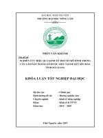 Nghiên Cứu Hiệu Quả Kinh Tế Một Số Mô Hình Trồng Cây Lâm Sản Ngoài Gỗ Dược Liệu Tại Huyện Xín Mần