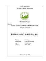 Nghiên Cứu Hoàn Thiện Quy Trình Sản Xuất Trà Túi Lọc Từ Lá Gai