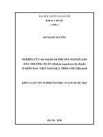 Nghiên cứu đa dạng di truyền nguồn gen dây thường xuân (hedera nepalensis k koch) ở miền bắc việt nam dựa trên chỉ thị matk 