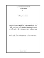 Nghiên cứu đa dạng di truyền nguồn gen dây thường xuân (hedera nepalensis k koch) ở miền bắc việt nam dựa trên chỉ thị matk 