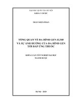 Tổng quan về đa hình gen IL28B và sự ảnh hưởng của đa hình gen tới đáp ứng thuốc 
