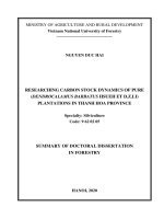 Nghiên cứu động thái tích lũy carbon của rừng luồng (dendrocalamus barbatus hsueh et d  z li) trồng thuần loài tại thanh hóa tt 