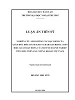 NGHIÊN CỨU ẢNH HƯỞNG CÁC ĐẶC ĐIỂM CỦA GIÁM ĐỐC ĐIỀU HÀNH (CEO’S CHARACTERISTIC) ĐẾN HIỆU QUẢ HOẠT ĐỘNG CỦA MỘT SỐ DOANH NGHIỆP TIÊU BIỂU TRÊN SÀN CHỨNG KHOÁN VIỆT NAM