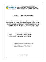 Phân tích tình hình cho vay tiêu dùng tại ngân hàng phát triển tp HCM chi nhánh phú nhuận giai đoạn 2011 2013​ 
