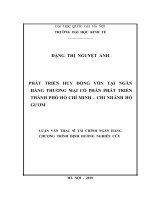 Phát triển huy động vốn tại ngân hàng thương mại cổ phần phát triển thành phố hồ chí minh   chi nhánh hồ gươm​ 