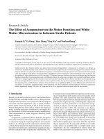 Tác dụng của châm cứu đối với  Chức năng vận động và Cấu trúc vi mô chất trắng  ở bệnh nhân đột quỵ do thiếu máu cục bộ