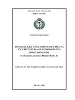 Đánh giá khả năng chống oxy hóa và ức chế enzym α glucosidase của hồng đảng sâm 