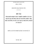 Tìm kiếm một số hợp chất thiên nhiên có tác dụng hạ đường huyết hướng điều trị tiểu đường tuýp 2 sử dụng phương pháp in silico 