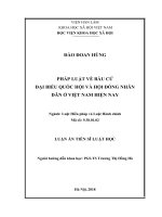 Pháp luật về bầu cử đại biểu Quốc hội và Hội đồng nhân dân ở Việt Nam hiện nay