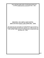 PHƯƠNG ÁN CHỮA CHÁY RỪNG KHI XẢY RA CHÁY LỚN