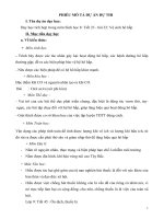 SKKN Dạy học tích hợp trong môn Sinh học 8: Tiết 23 - bài 22: Vệ sinh hô hấp