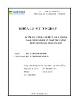Quản trị rủi ro tín dụng tại ngân hàng nông nghiệp và phát triển nông thôn chi nhánh đông sài gòn​ 
