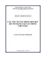 Các yếu tố tác động đến rủi ro tín dụng tại các ngân hàng thương mại cổ phần việt nam 