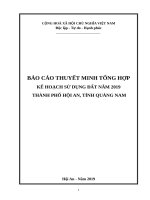 BÁO CÁO THUYẾT MINH TỔNG HỢPKẾ HOẠCH SỬ DỤNG ĐẤT NĂM 2019 THÀNH PHỐ HỘI AN, TỈNH QUẢNG NAM