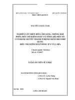 Nghiên cứu biến đổi lâm sàng, thông khí phổi, mức độ kiểm soát và nồng độ một số cytokine huyết thanh ở bệnh nhân hen phế quản điều trị bằng ICS và LABA 