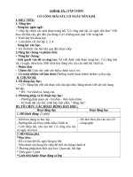 Giáo án chính tả lớp 2 từ tuần 1 tới tuần 4 theo 5 bước