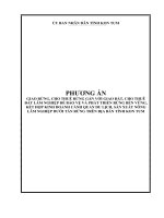 PHƯƠNG ÁNGIAO RỪNG, CHO THUÊ RỪNG GẮN VỚI GIAO ĐẤT, CHO THUÊĐẤT LÂM NGHIỆP ĐỂ BẢO VỆ VÀ PHÁT TRIỂN RỪNG BỀN VỮNG,KẾT HỢP KINH DOANH CẢNH QUAN DU LỊCH