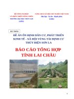ĐỀ ÁN ỔN ĐỊNH DÂN CƯ, PHÁT TRIỂN KINH TẾ - XÃ HỘI VÙNG TÁI ĐỊNH CƯ THỦY ĐIỆN SƠN LABÁO CÁO TỔNG HỢP TỈNH LAI CHÂU