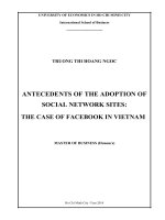 Antecedents of the adoption of social network sites, the case of facebook in vietnam 