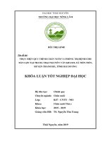 Thực Hiện Quy Trình Chăn Nuôi Và Phòng Trị Bệnh Cho Đàn Lợn Tại Trang Trại Nguyễn Văn Khanh