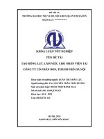 Tạo động lực làm việc cho nhân viên tại công ty cổ phần BON, thành phố hà nội 