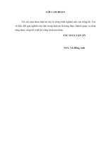 luận án tiến sĩ nghiên cứu ứng dụng siêu âm nội soi góp phần chẩn đoán giai đoạn ung thư trực tràng 