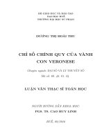 Chỉ số chính quy của vành con veronese 