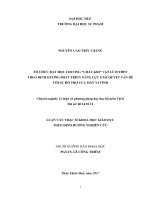 Tổ chức dạy học chương “chất khí” vật lý 10 trung học phổ thông theo định hướng phát triển năng lực giải quyết vấn đề với sự hỗ trợ của máy vi tính 