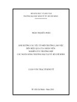 Ảnh hưởng các yếu tố môi trường làm việc đến hiệu quả của nhân viên, nghiên cứu trường hợp các ngân hàng thương mại tại TP  hồ chí minh 