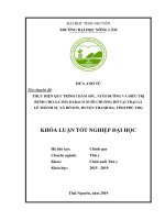 Thực Hiện Quy Trình Chăm Sóc, Nuôi Dưỡng Và Điều Trị Bệnh Cho Gà Mía Dabaco Nuôi Chuồng Hở Tại Trại Gà Lê Thành Sự Xã Đỗ Sơn, Huyện Thanh Ba, Tỉnh Phú Thọ​