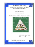 Nghiên cứu chế độ dinh dưỡng của người chơi Tennis