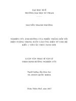 Nghiên cứu ảnh hưởng của nhiễu trắng đối với hiện tượng trong suốt cảm ứng điện từ cho hệ kiểu λ với cấu trúc fano đôi 