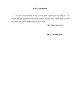 Nghiên cứu ứng dụng siêu âm nội soi góp phần chẩn đoán giai đoạn ung thư trực tràng 