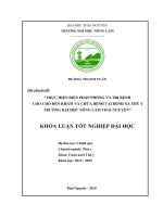 Thực Hiện Biện Pháp Phòng Và Trị Bệnh Cho Chó Đến Khám Và Chữa Bệnh Tại Bệnh Xá Thú Y Trường Đại Học Nông Lâm Thái Nguyên​