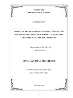 Nghiên cứu đặc điểm sinh học, năng suất và phẩm chất một số giống lúa chịu hạn mới trồng tại xã phú diên, huyện phú vang, tỉnh thừa thiên huế 