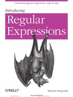 introducing-regular-expressions_-unraveling-regular-expressions,-step-by-step-[fitzgerald-2012-08-03]