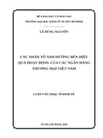 Các nhân tố ảnh hưởng đến hiệu quả hoạt động của các ngân hàng thương mại việt nam 