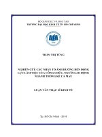 Các nhân tố ảnh hưởng đến động lực làm việc của công chức, người lao động ngành thống kê cà mau 