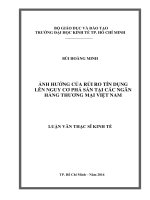 Ảnh hưởng của rủi ro tín dụng lên nguy cơ phá sản tại các ngân hàng thương mại việt nam 