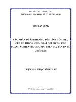 Các nhân tố ảnh hưởng đến tính hữu hiệu của hệ thống kiểm soát nội bộ tại các doanh nghiệp thương mại trên địa bàn tp  hồ chí minh 