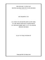 Các nhân tố ảnh hưởng đến sự hữu hiệu của hệ thống kiểm soát nội bộ trong các doanh nghiệp nhỏ và vừa tại tp  hồ chí minh 