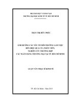 Ảnh hưởng các yếu tố môi trường làm việc đến hiệu quả của nhân viên, nghiên cứu trường hợp các ngân hàng thương mại tại TP  hồ chí minh 