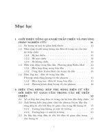 Các hiệu ứng động và âm - điện tử trong các hệ điện tử thấp chiều : Luận án TS. Vật lý: 62.44.01.01